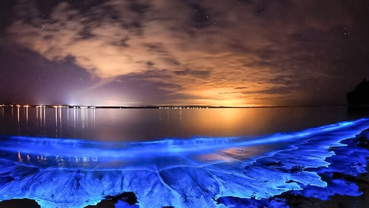 Vaadhoo.jpg